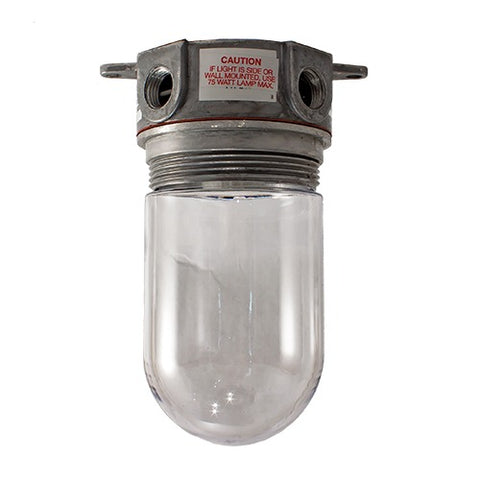 LIGHT FIXTURE – Globe Included – 1-1803-LG-0000